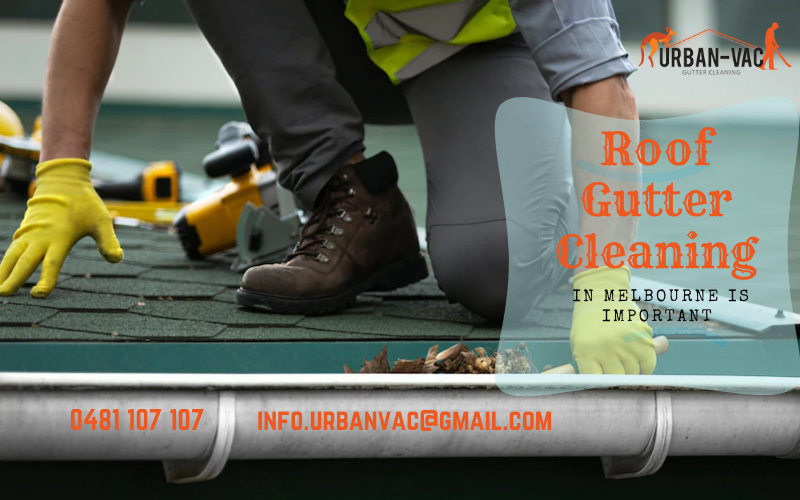 Why Roof Gutter Cleaning in South East Melbourne is Important?