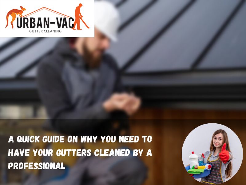 A Quick Guide On Why You Need To Have Your Gutters Cleaned By A Professional