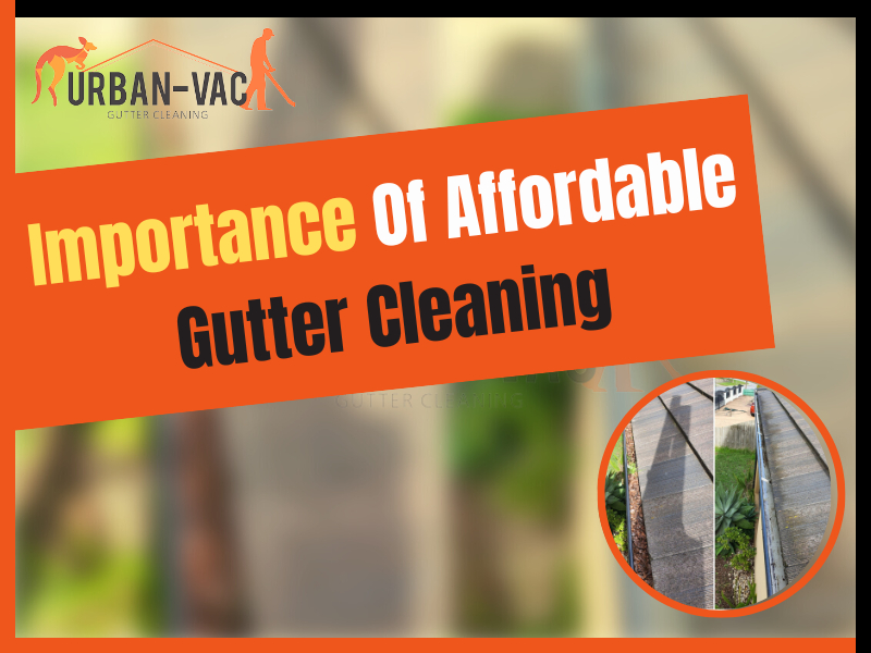 Importance Of Affordable Gutter Cleaning