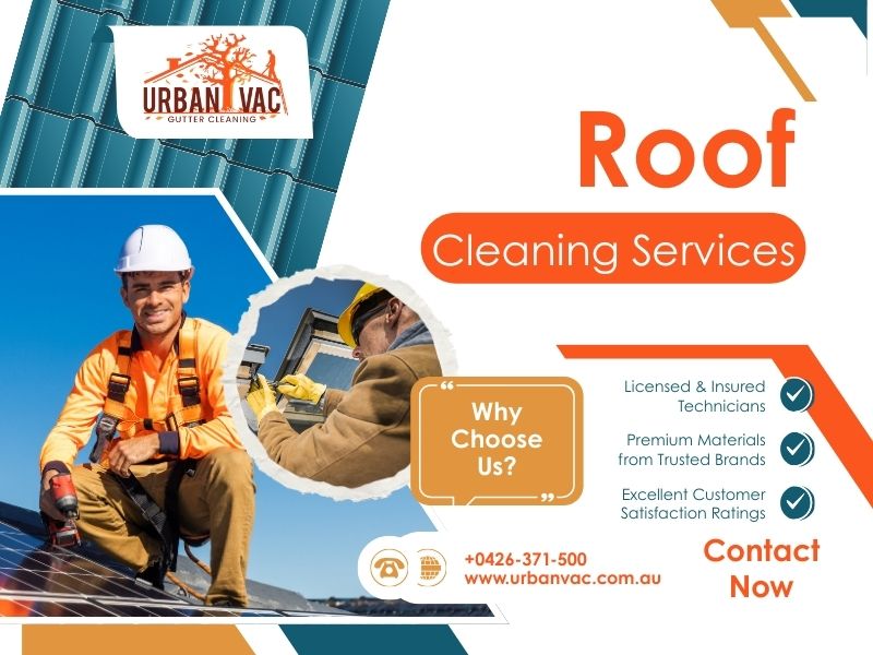 Roof Cleaning in Mount Eliza: Protecting Your Home from the Top Down